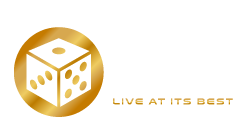 Vivo Live Dealers